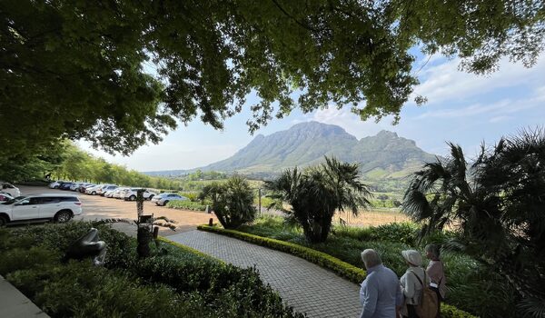 Media Insight - A mini guide to South Africa from Talking Rugby Union's Joe Harvey