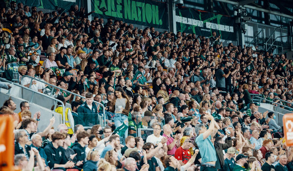 Match Day Experience Survey