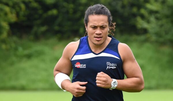 London Irish sign international back-row