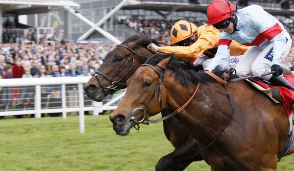 Newbury Race offer for London Irish Supporters