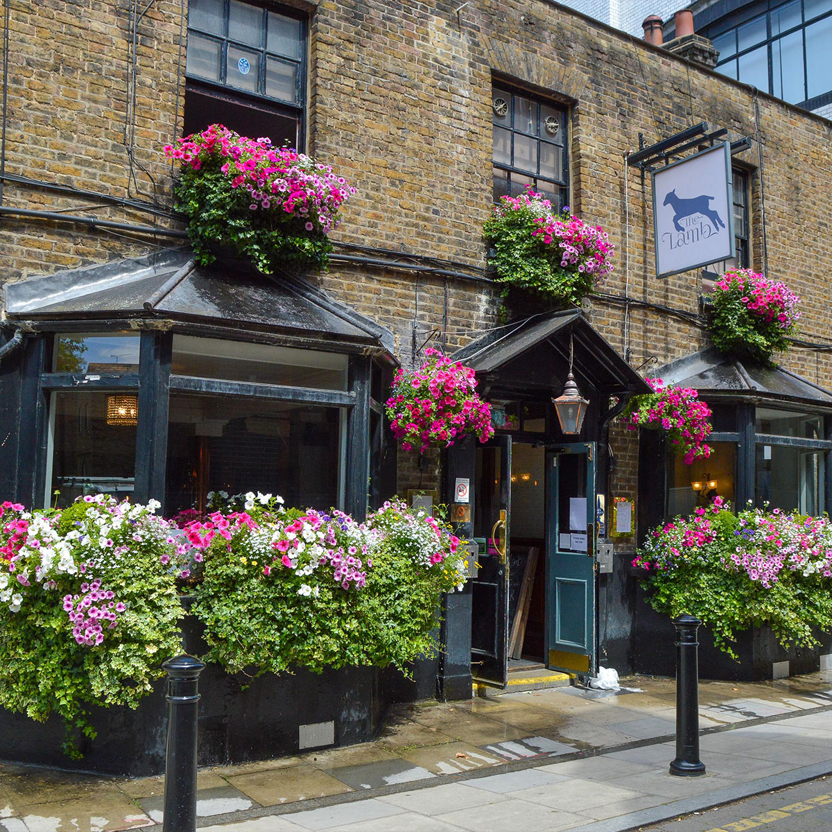 {{imageAltText(storage/images/Lamb-Exterior-optimised.jpg)}}